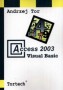 Access 2003 Visual Basic
