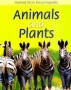 Oxford First Encyclopedia. Animals And Plants