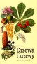 Drzewa i krzewy. Flora i fauna lasów