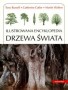 Drzewa świata. Ilustrowana encyklopedia