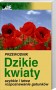 Dzikie kwiaty