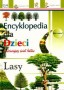 Encyklopedia dla dzieci. Lasy