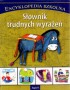 Encyklopedia szkolna, tom 9. Słownik trudnych wyrażeń