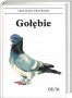 Gołębie