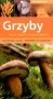 Grzyby
