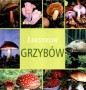 Leksykon grzybów
