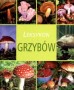 Leksykon grzybów