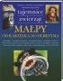 Małpy. Od karzełka do olbrzyma