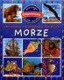 Morze. Obrazkowa encyklopedia dla dzieci