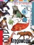 Na ścieżkach wiedzy 6. 100 kręgowców. Encyklopedia