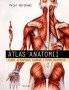 Atlas anatomii. Ciało człowieka: budowa i funkcjonowanie