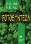 Fotosynteza