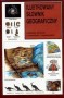 Ilustrowany słownik geograficzny