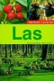 Las - Spotkania z przyrodą
