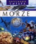 Morze
