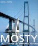 Mosty. Trzy tysiące lat zmagań z naturą