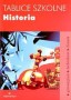 Historia. Tablice szkolne
